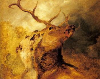 Sir Edwin Henry Landseer : Stag and Hound